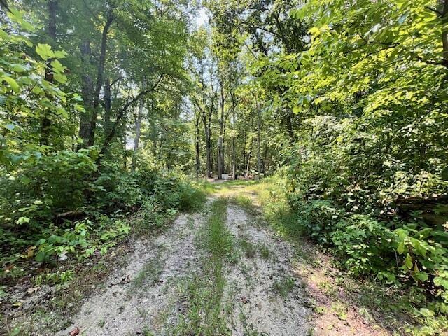 348 Baggett Rd, Ringgold, GA 30736 - photo 14