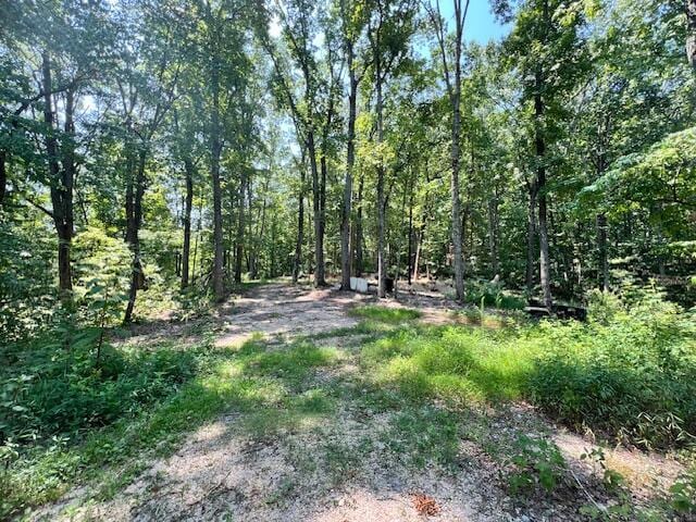 348 Baggett Rd, Ringgold, GA 30736 - photo 15