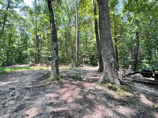 348 Baggett Rd, Ringgold, GA 30736 - photo 16