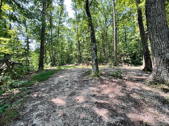 348 Baggett Rd, Ringgold, GA 30736 - photo 17