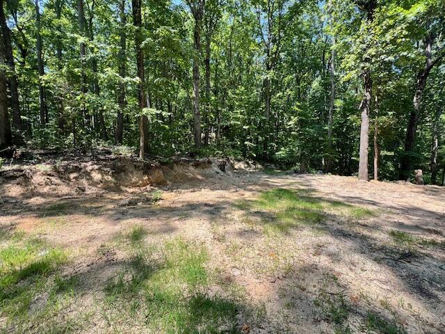 348 Baggett Rd, Ringgold, GA 30736 - photo 18