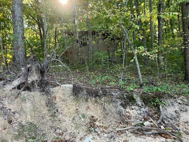 348 Baggett Rd, Ringgold, GA 30736 - photo 9