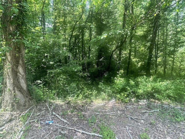 13747 Lillard Rd, Soddy Daisy, TN 37379