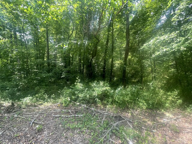 13747 Lillard Rd, Soddy Daisy, TN 37379