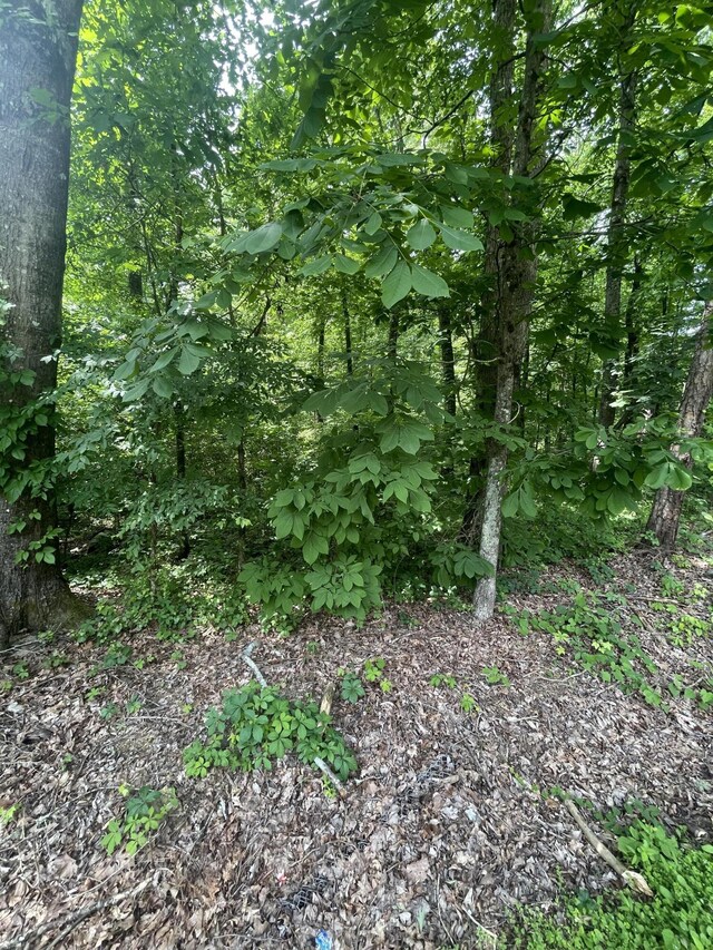 13747 Lillard Rd, Soddy Daisy, TN 37379