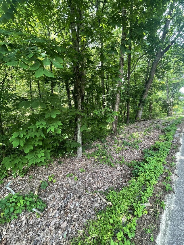 13747 Lillard Rd, Soddy Daisy, TN 37379