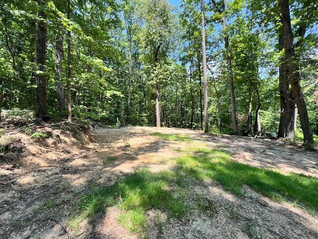 322 Baggett Rd, Ringgold, GA 30736 - photo 16