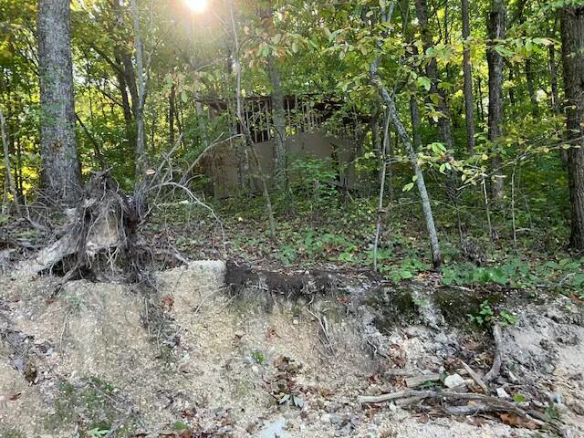 322 Baggett Rd, Ringgold, GA 30736 - photo 18