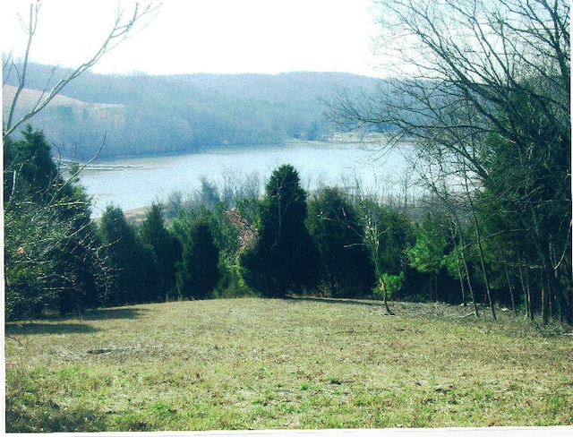 Listing photo 2 for 00 Goodfield Ter Lot 29, Decatur TN 37322