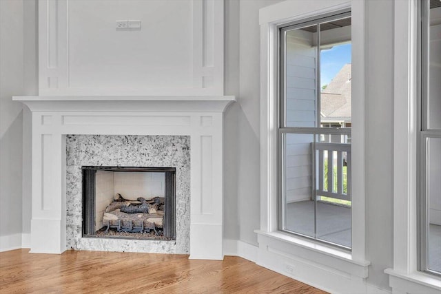 room details with a premium fireplace and wood-type flooring