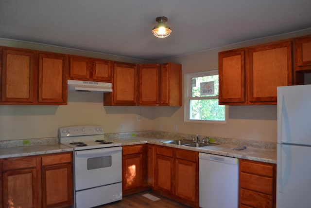 kitchen featuring white appliances, dark hardwood / wood-style flooring, and sink