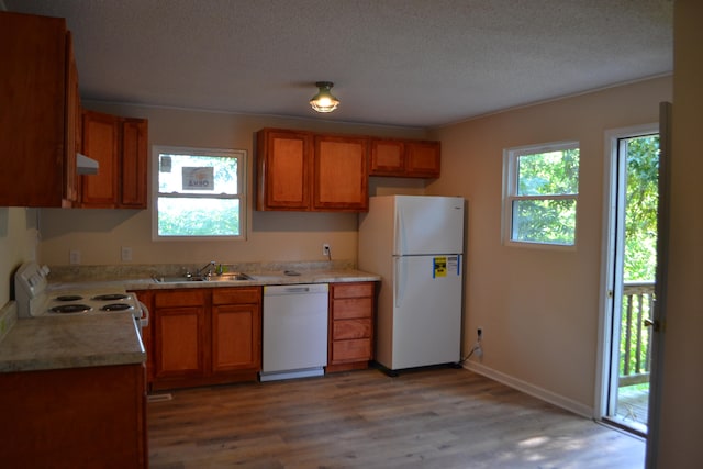 kitchen with a textured ceiling, wood-type flooring, sink, and white appliances