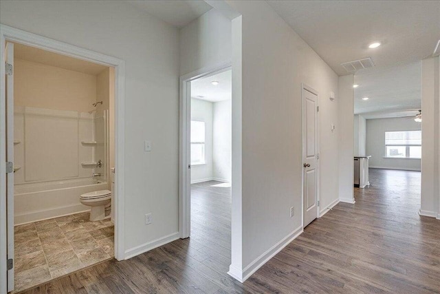 hallway featuring a healthy amount of sunlight and hardwood / wood-style flooring