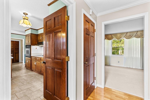 hallway featuring ornamental molding, a textured ceiling, and light colored carpet