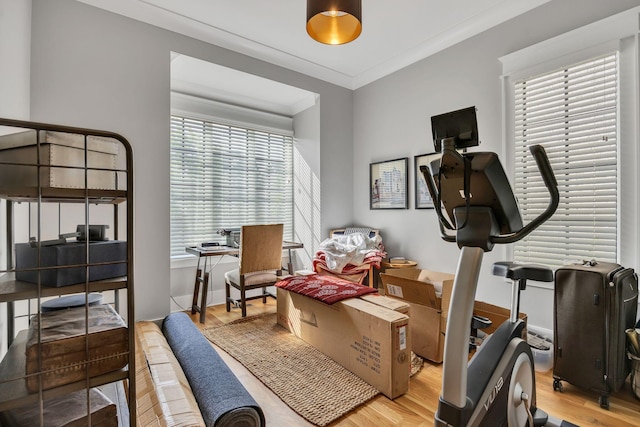 exercise area featuring ornamental molding and light hardwood / wood-style flooring