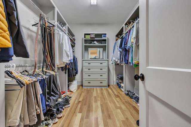 spacious closet featuring light wood-type flooring