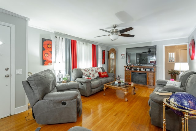 living room with ceiling fan, wood-type flooring, and ornamental molding