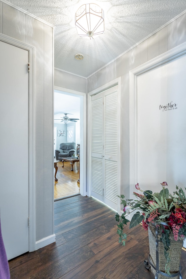 hallway with a textured ceiling and dark hardwood / wood-style floors