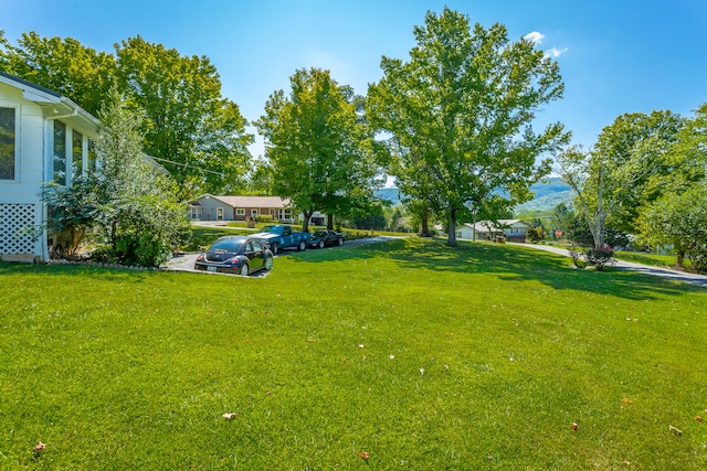 view of yard featuring a mountain view