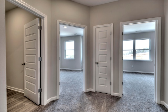 hall featuring carpet floors