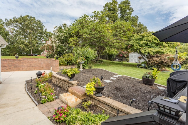 view of yard with a storage unit and a patio area