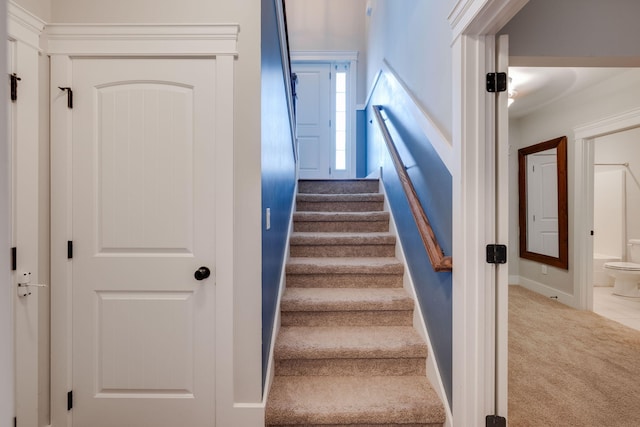 staircase with carpet flooring