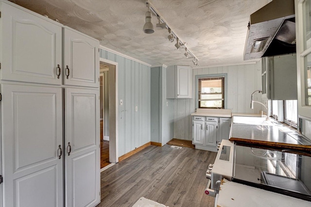 kitchen featuring white cabinetry, a healthy amount of sunlight, light hardwood / wood-style flooring, and sink