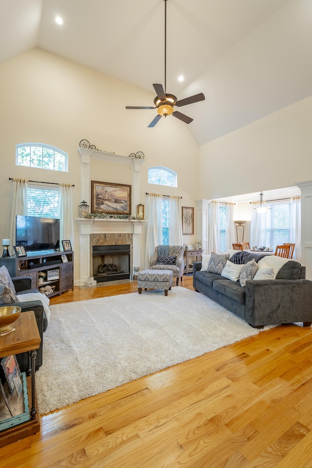 living room featuring hardwood / wood-style flooring and a wealth of natural light