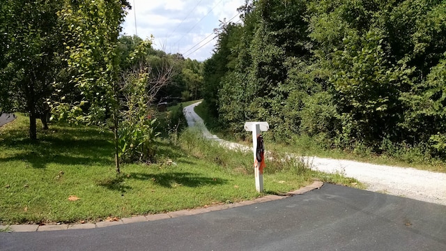 view of road featuring a wooded view