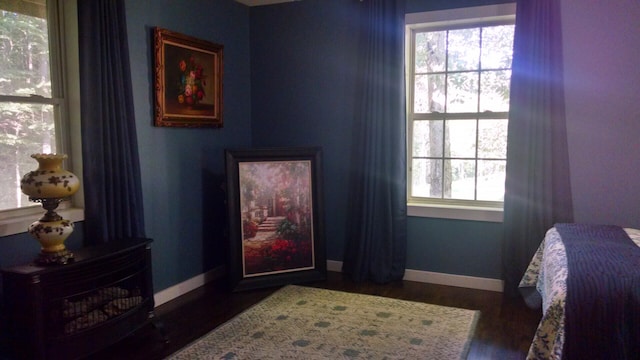 bedroom featuring dark hardwood / wood-style floors and multiple windows