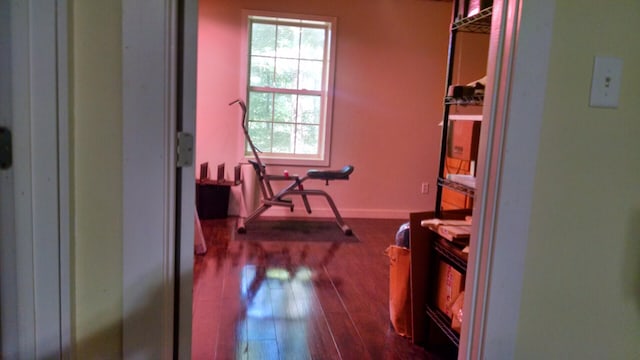 hallway with dark wood-style flooring