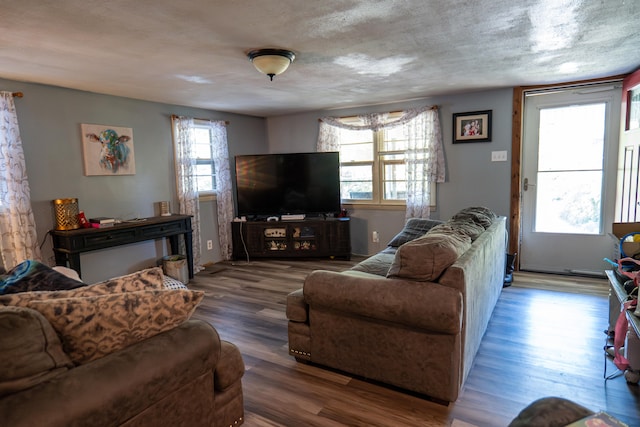 living room with a textured ceiling and hardwood / wood-style floors