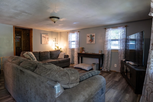 living room featuring a textured ceiling and hardwood / wood-style floors