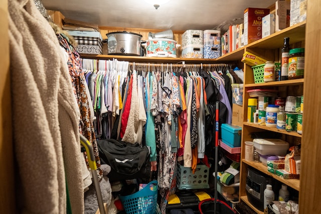 view of walk in closet