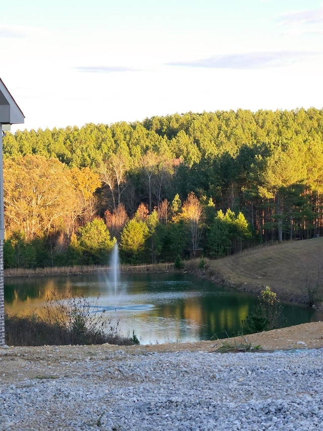 property view of water