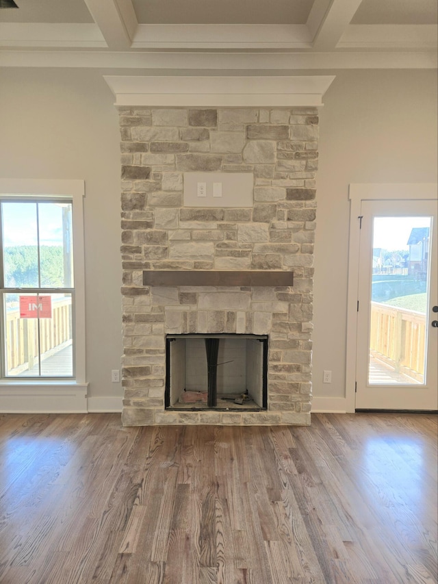 room details with hardwood / wood-style flooring and a stone fireplace