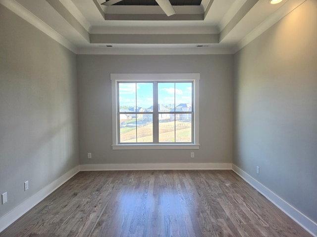 empty room with hardwood / wood-style flooring and a raised ceiling