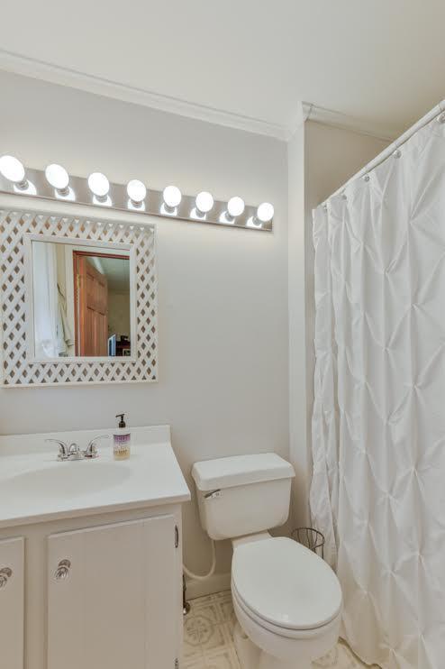 bathroom with crown molding, vanity, toilet, and a shower with shower curtain