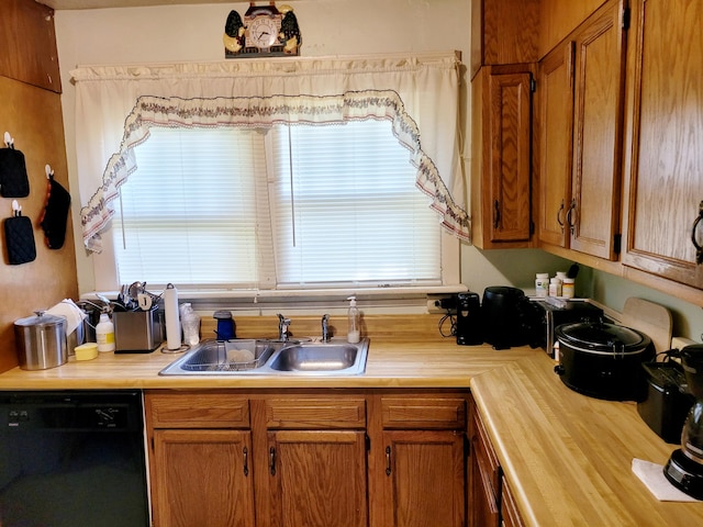 kitchen featuring dishwasher and sink