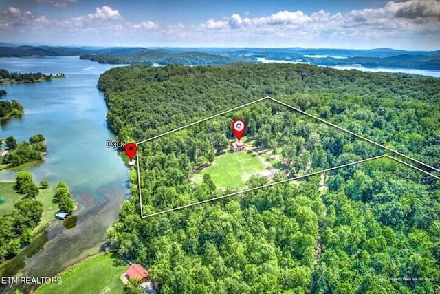 aerial view with a view of trees and a water view