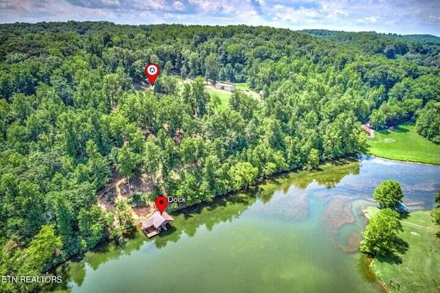 bird's eye view with a view of trees and a water view