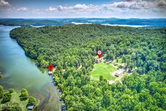 birds eye view of property with a forest view and a water view