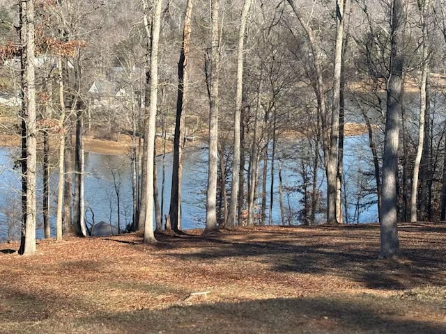 water view with a view of trees