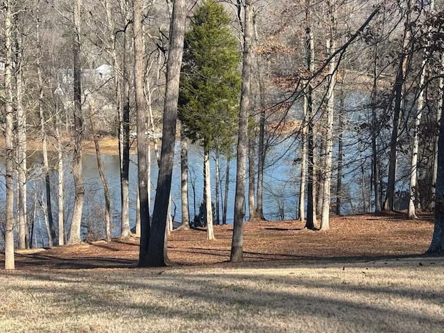 water view with a wooded view