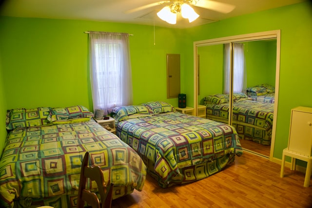 bedroom featuring a closet, ceiling fan, and hardwood / wood-style flooring