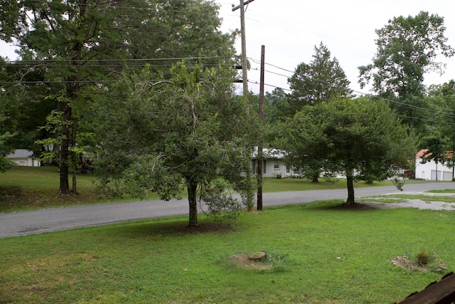 view of home's community with a lawn