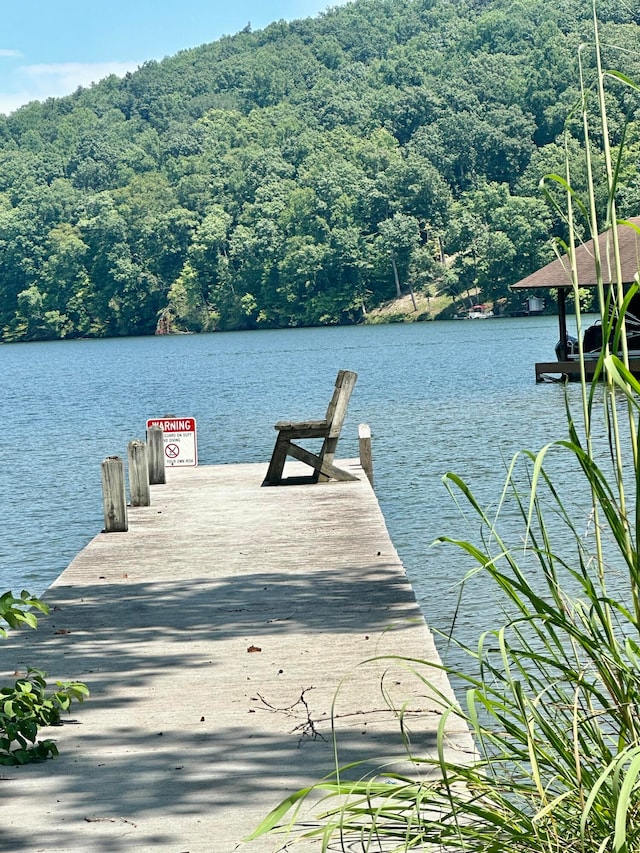 dock area featuring a water view