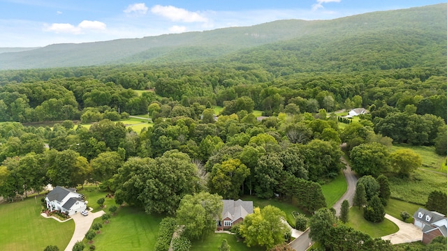 drone / aerial view featuring a mountain view