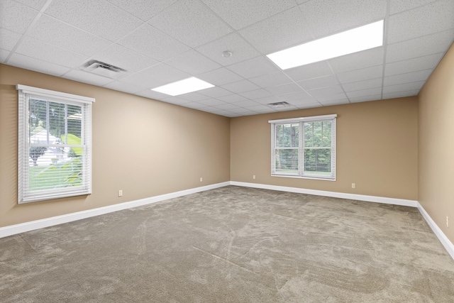 carpeted empty room with a wealth of natural light and a drop ceiling