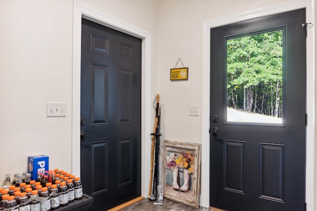 foyer entrance featuring a wealth of natural light